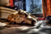 Ciko_filtered