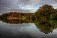 Img_0082_3_4enhancer