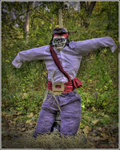 Scarecrow