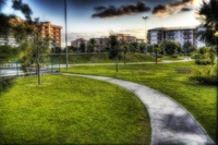 The_way
