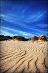 Dune