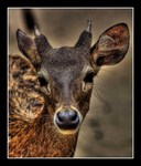 Img_2733_edit
