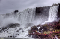 Img_2236_ef-sig