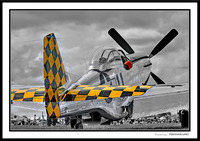 P51_ldg6388