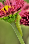 7849_at_2009-06-12