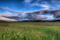 7860_at_2009-07-02