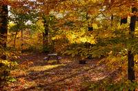 Dsc_4527_copy