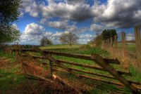 Img_0316_7_8enhancer
