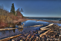Driftwoodpond1a