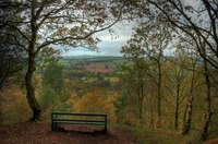Img_0184_5_6enhancer