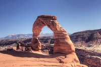 Delicatearch
