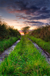 Farm_path