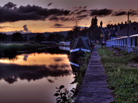 Homeward_bound
