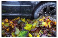 E_arrivato_l_autunno
