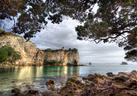 Stingray_bay