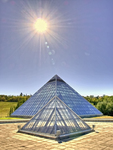 P91355151_2_3_4_5