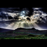 Road_less_travelled