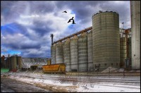 Grain_elevatorsvert_cor_ng