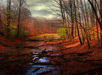 Autumn_sun_