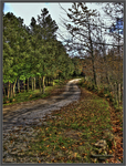 Pb011224hdr