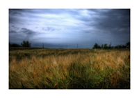 Vojvodina_landscape
