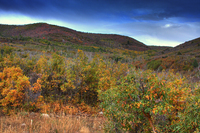 Kamas_cabin_scenery_v1a_reduced