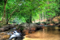 Small_pool