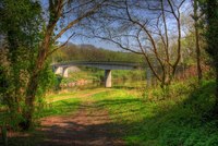 Img_0022_3_4enhancer