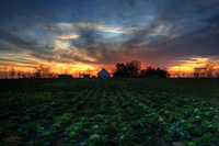 Old_farm_hdr