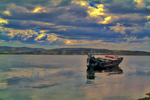 -last-harbour-