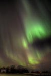 Aurora1a
