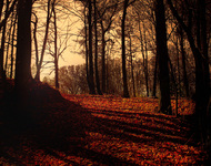 Days_end_