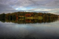 Img_0070_1_2enhancer