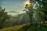 Pasture_sunrise