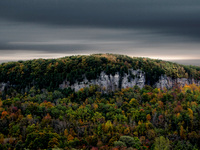 Thanksgiving_2_075