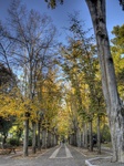 Colori_d_autunno