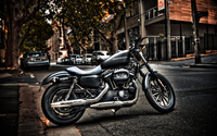 Harley