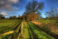 Img_0031_2_3enhancer