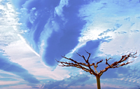 Nube2