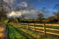 Img_0178_79_80enhancer