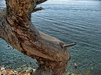 Antalya