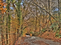 Path_to_the_falls