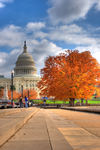 Fall_in_the_nation_s_capital