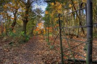 Img_0148_49_50enhancer