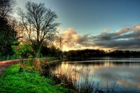 Img_0238_39_40enhancer