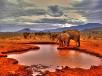 Hdr1_kenya_-_copia