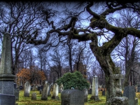 Cemetery2