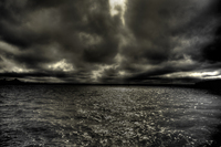 20091129