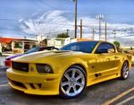 Mustang