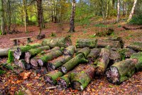 Img_0061_2_3enhancer
